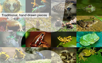 Frog Jigsaw Puzzles Demo poster 3