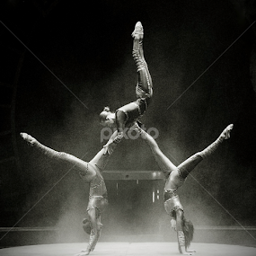 Circus Hand Balancers by Stephen Beatty - News & Events Entertainment