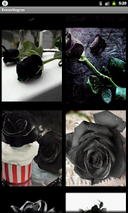 Free Download Rosas Negras APK for Android