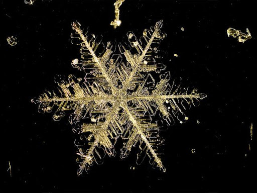 【免費攝影App】Beautiful snowflake Wallpaper-APP點子