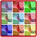 Foto Colors icon