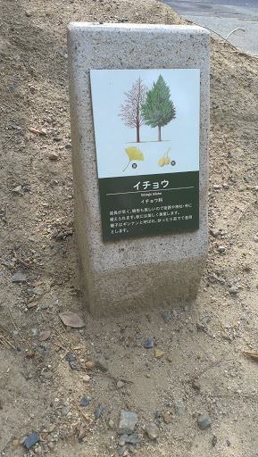 イチョウの石碑