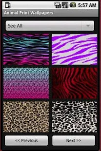 Animal Print Wallpapers