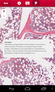 multeBook Histology Screenshots 12
