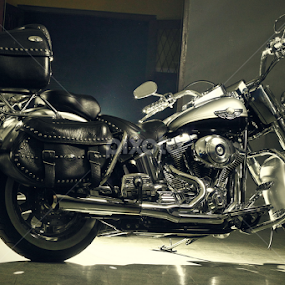 harley by Rully Kustiwa - Transportation Motorcycles