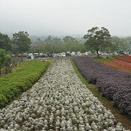 大溪花海農場