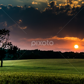 Sun going down on pennells hill by Simon Trott - Landscapes Sunsets & Sunrises