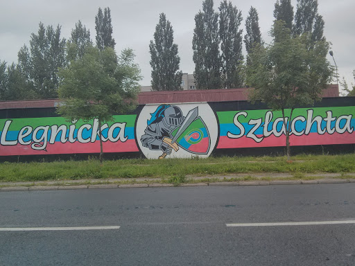 Legnicka Szlachta Mural