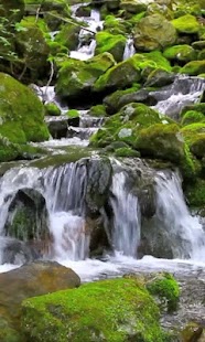Free Nature LiveWallpaper APK