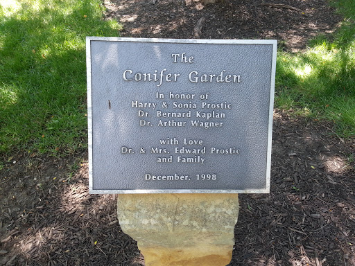 The Conifer Garden
