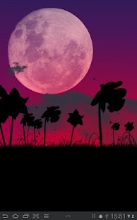 Free Download Daffodils Live Wallpaper APK