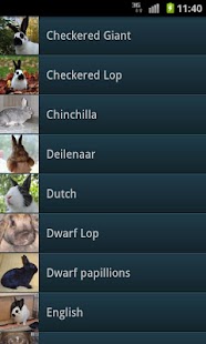 Lastest Rabbits APK