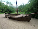Stranded Boat