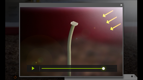 Phototropism in Plants Screenshots 2