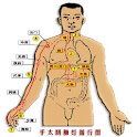 經絡穴位圖 logo