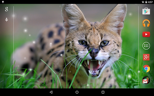Angry Cat Live Wallpaper Screenshots 3