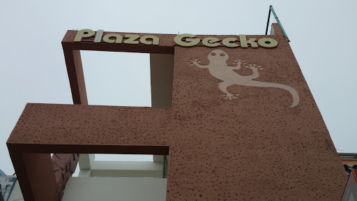 Plaza Gecko