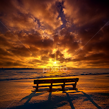 I Would Trade A Thousand Ever Afters by Phil Koch -  