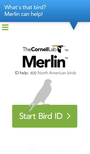 Merlin Bird ID By Cornell Lab