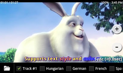 MX Player Codec (ARMv6 VFP)