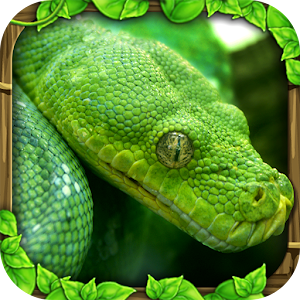 Snake-Simulator