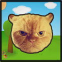 Catapult the Cat icon