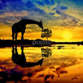 by Daniel Chang - Instagram & Mobile Android