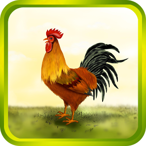 Crazy chick.apk 1.0.1