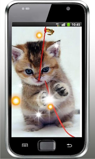 Kitty Gallery HD LiveWallpaper