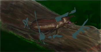 ~Lucanus cervus~ prt 2