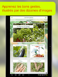 Réussir son premier potager poster 6