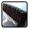 Chore Master icon