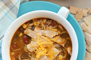 Crockpot Chicken Tortilla Soup + More Easy Chicken Recipes