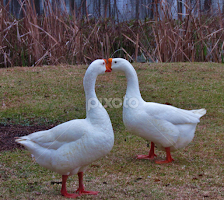 Private Conversation! by Terry Linton -  