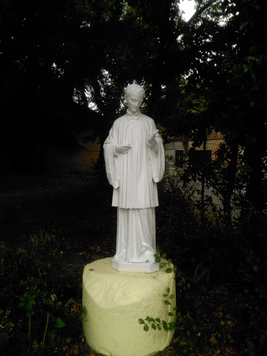 Pibrac, Statue De La Salle