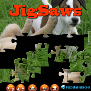 Puppy Jigsaw Puzzle 1000x600