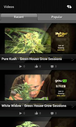 【免費生活App】Green House Seed Co.-APP點子