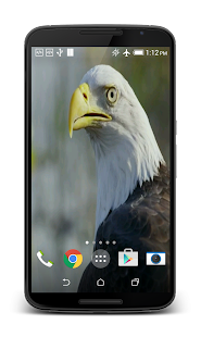 How to get USA Eagle Live Wallpaper 3.0 unlimited apk for laptop