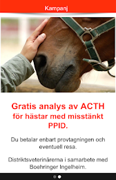 Din veterinär Östhammar poster 3