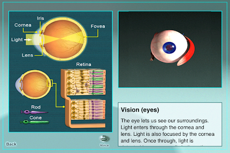 Lastest Human Bio APK for PC