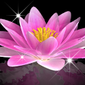 Water Lily Bell LiveWallpaper logo