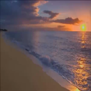 Sunset Beach Live Wallpaper - Android Apps on Google Play