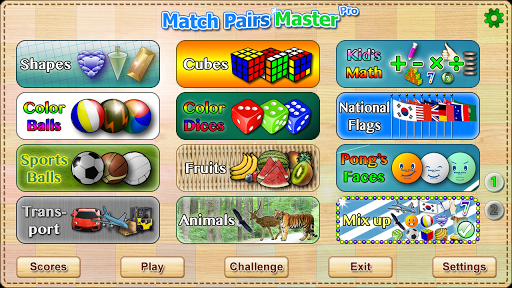 Match Pairs Master Pro