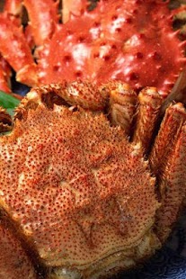 Download Seafood Puzzle APK