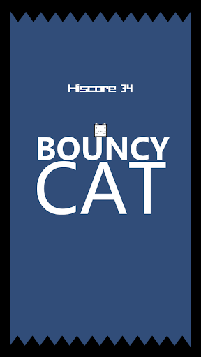 Bouncy Cat