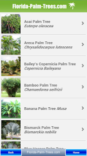 Lastest Florida Palm Trees APK for Android