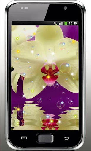 Orchid Free live wallpaper