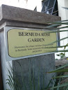 Bermuda Rose Garden