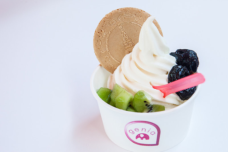 |食|高雄鼓山 天然風味的霜淇淋 genia創意美式霜淇淋