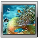 Nature sea Live Wallpaper logo